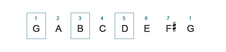 image of frets string names and string numbers
